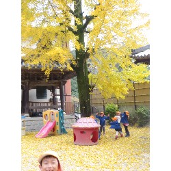 11��25���@�Ђ܂��@�ˊO������_13