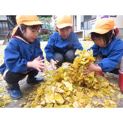 11��25���@�Ђ܂��@�ˊO������_17