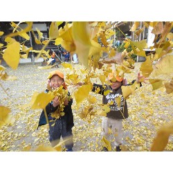 11��25���@�Ђ܂��@�ˊO������_18