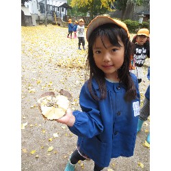 11��25���@�Ђ܂��@�ˊO������_20