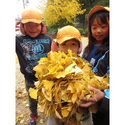 11��25���@�Ђ܂��@�ˊO������_21