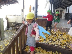 11��25���@�������@�ˊO������_2