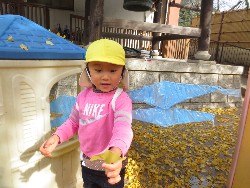 11��25���@�������@�ˊO������_15