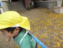 11��25���@�������@�ˊO������_16