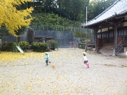 11��25���@�������@�ˊO������_17