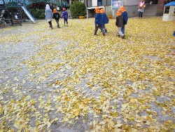 11��25���@�������@�ˊO������_25