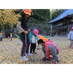 11��26���@�Ђ܂��@���p�ۈ�_29