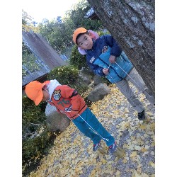 11��26���@�Ђ܂��@���p�ۈ�_34