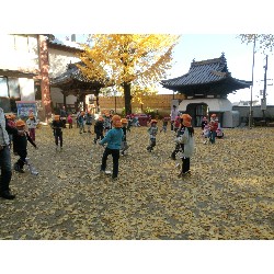 11��26���@�Ђ܂��@���p�ۈ�_38