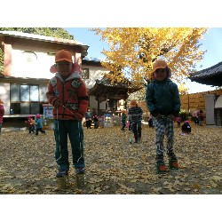 11��26���@�Ђ܂��@���p�ۈ�_39