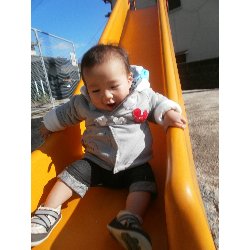 11��26���@�����@���U��&�l�ʐ^_1