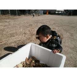 11��26���@�����@���U��&�l�ʐ^_8