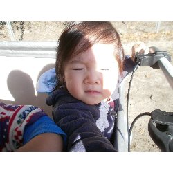 11��26���@�����@���U��&�l�ʐ^_10