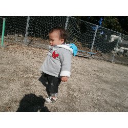 11��26���@�����@���U��&�l�ʐ^_11