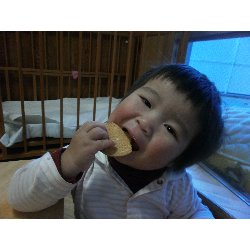 11��26���@�����@���U��&�l�ʐ^_24