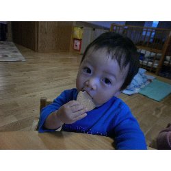 11��26���@�����@���U��&�l�ʐ^_26