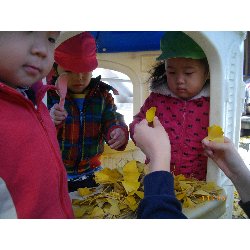 11��26���@��񂰁@���{���̓�_8