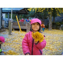 11��26���@��񂰁@���{���̓�_9