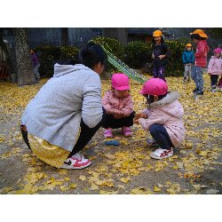 11��26���@��񂰁@���{���̓�_11