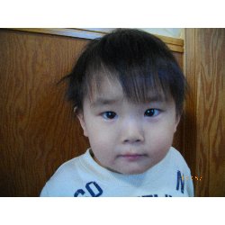 11��26���@��񂰁@���{���̓�_19