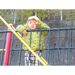 11��26���@�����E�炢����@�����݂̐X_4