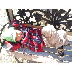 11��26���@�����E�炢����@�����݂̐X_5