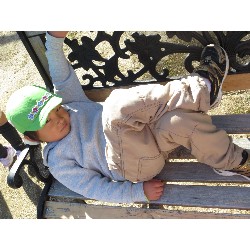 11��26���@�����E�炢����@�����݂̐X_8