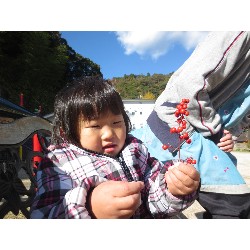 11��26���@�����E�炢����@�����݂̐X_12