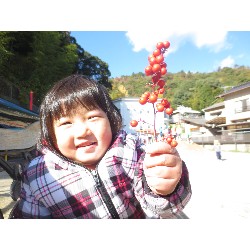 11��26���@�����E�炢����@�����݂̐X_13