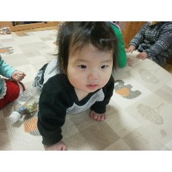 11��27���@�����@���^�y�b�^���������_5