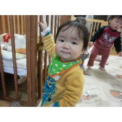 11��27���@�����@���^�y�b�^���������_8