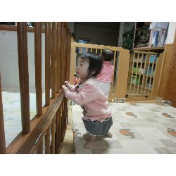 11��27���@�����@���^�y�b�^���������_9