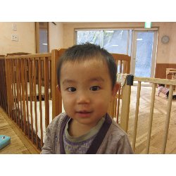 11��2�V���@������@�N���X�}�X����`�G�̋�`_17