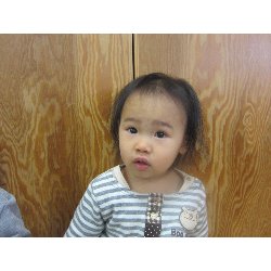 11��2�V���@������@�N���X�}�X����`�G�̋�`_24