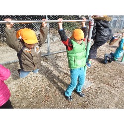 11��28���@�Ђ܂��@�ˊO������_4