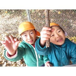 11��28���@�Ђ܂��@�ˊO������_6