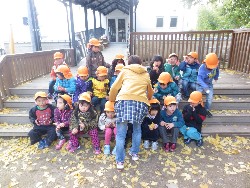 11��28���@�Ђ܂��@�W���ʐ^_1