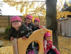 11��28���@�쐼��񂰁@�ˊO������_1