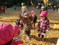 11��28���@�쐼��񂰁@�ˊO������_3