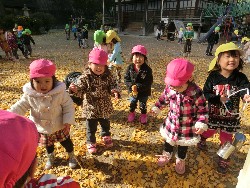 11��28���@�쐼��񂰁@�ˊO������_4