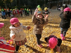 11��28���@�쐼��񂰁@�ˊO������_5