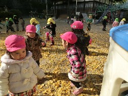 11��28���@�쐼��񂰁@�ˊO������_6