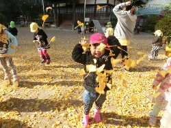 11��28���@�쐼��񂰁@�ˊO������_7