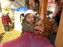 11��28���@�쐼��񂰁@�ˊO������_8