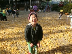 11��28���@�쐼��񂰁@�ˊO������_10