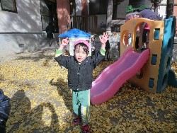 11��28���@�쐼��񂰁@�ˊO������_12