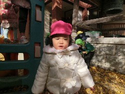 11��28���@�쐼��񂰁@�ˊO������_13