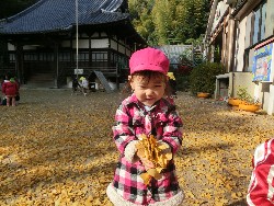 11��28���@�쐼��񂰁@�ˊO������_14