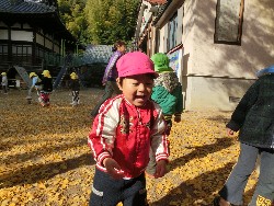 11��28���@�쐼��񂰁@�ˊO������_16