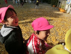 11��28���@�쐼��񂰁@�ˊO������_18